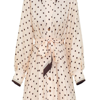 Dot Tuck Mini Dress