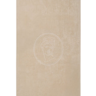 Cotton terry beach towel